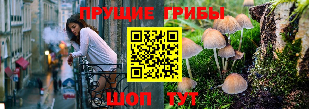 Электросталь  Псилоцибиновые грибы Psilocybine cubensis  Вход с VPN 