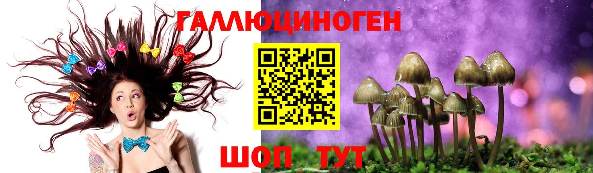 Псилоцибиновые грибы GOLDEN TEACHER Электросталь